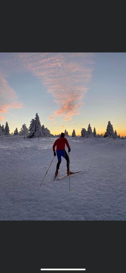 Gite De Montagne Au Pied Du Champ Du Feu Belmont  Dış mekan fotoğraf